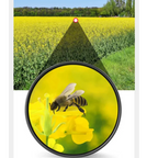 Binoculars Powerful 90x90  for Hiking HD Long-Range Zoom - Infrared Night Vision