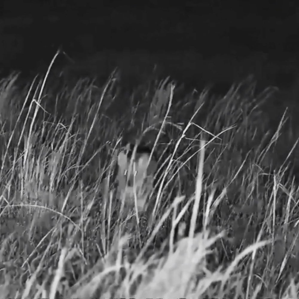 Visionscop-high-definition-telescope